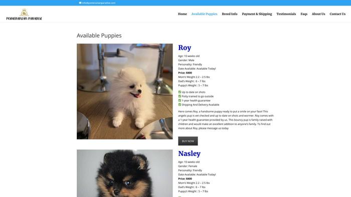 Pomeranianparadise.com - Pomeranian Puppy Scam Review