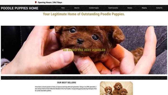 Poodlespuppieshome.com - Poodle Puppy Scam Review