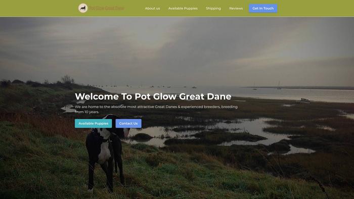 Potglowgreatdane.com - Great Dane Puppy Scam Review