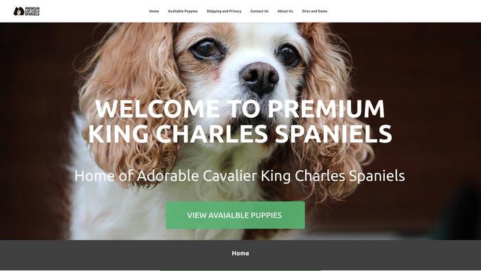 Premiumkingcharlesspaniels.com - Cavalier King Charles Spaniel Puppy Scam Review