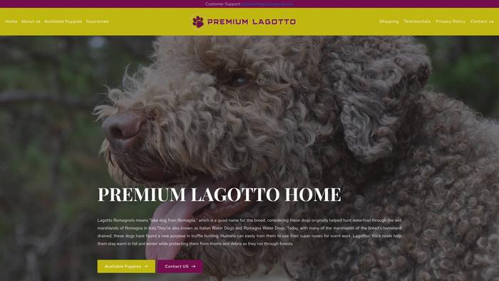 Premiumlagottohome.com - Poodle Puppy Scam Review