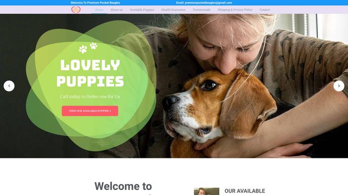 Premiumpocketbeagles.com - Beagle Puppy Scam Review