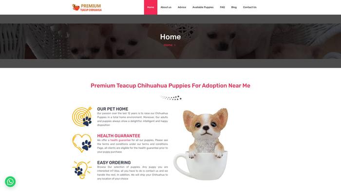 Premiumteacupchihuahua.com - Chihuahua Puppy Scam Review