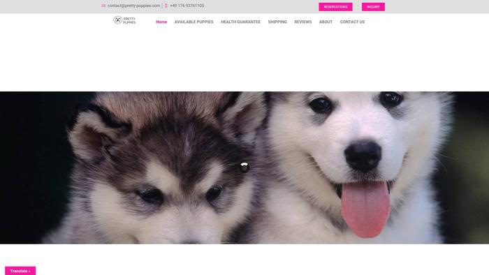 Pretty-puppies.com - Husky Puppy Scam Review