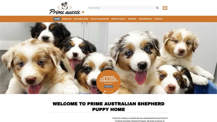 Primeaussie.com - Australian Shepherd Puppy Scam Review