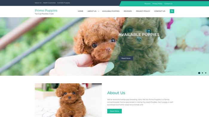 Primepuppies4sale.com - Poodle Puppy Scam Review