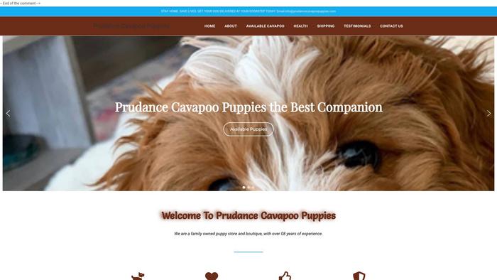 Prudancecavapoopuppies.com - Cavapoo Puppy Scam Review