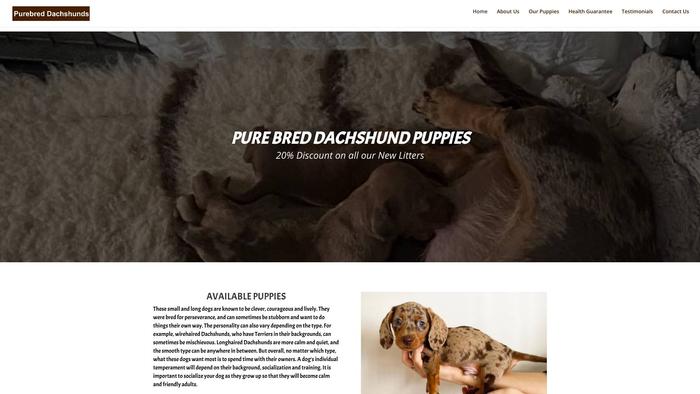 Purebreddachshunds.net - Dachshund Puppy Scam Review