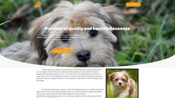 Purebredhavanesepuppies.com - Havanese Puppy Scam Review