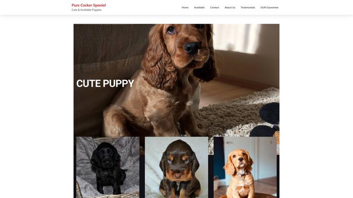 Purecockerspaniel.com - Cockerspaniel Puppy Scam Review