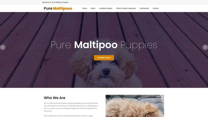 Puremaltipoopuppies.com - Maltipoo Puppy Scam Review