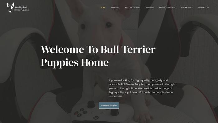 Qualitybullterrierpup.com - Terrier Puppy Scam Review