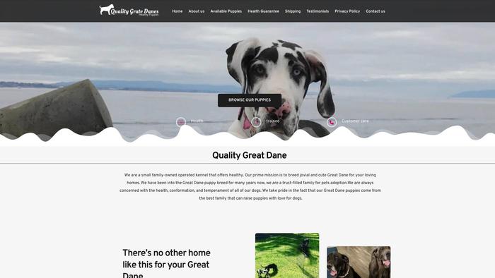 Qualitygradane4sale.com - Great Dane Puppy Scam Review