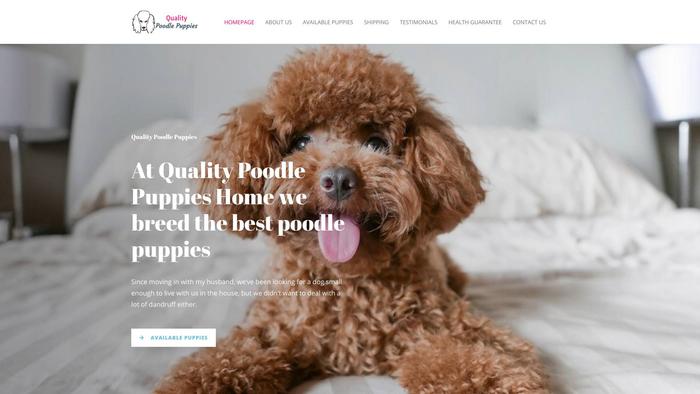 Qualitypoodlepuppies.com - Poodle Puppy Scam Review