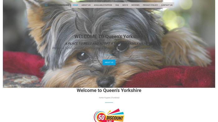 Queensyorkshire.com - Yorkshire Terrier Puppy Scam Review