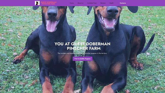 Questdobermanpinscherfarm.com - Doberman Pinscher Puppy Scam Review