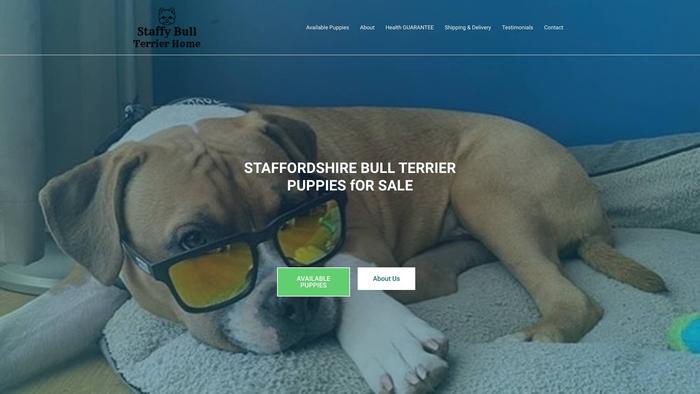 Rachelstaffyullterrierhome.com - Terrier Puppy Scam Review