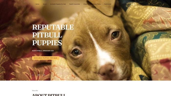 Reputablepitbullpuppies.com - Pit Bull Puppy Scam Review