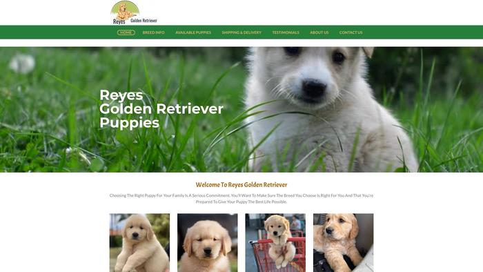 Reyesgoldenretriever.com - Golden Retriever Puppy Scam Review