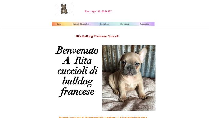 Ritacucciolidibulldogfrancese.com - Bulldog Puppy Scam Review