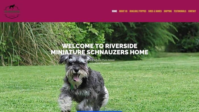 Riversideminischnauzers.com - Schnauzer Puppy Scam Review