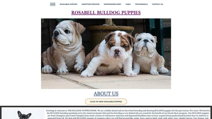 Rosabellbulldogpuppies.com - Bulldog Puppy Scam Review