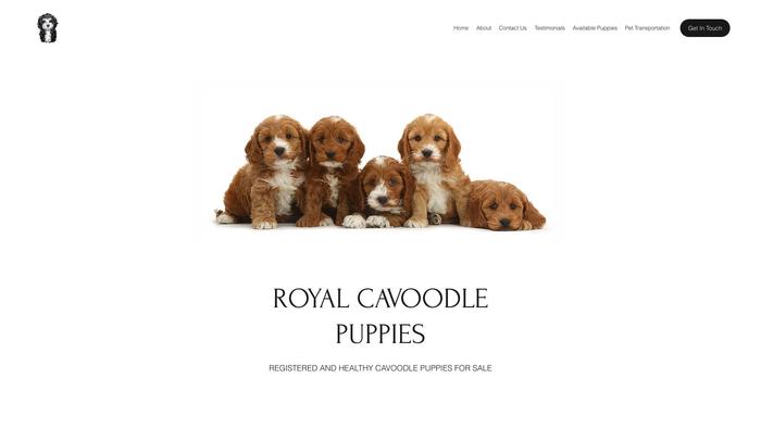 Royalcavoodlepuppies.com - Cavapoo Puppy Scam Review