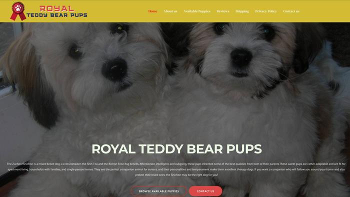 Royalteddybearpups.com - Bichon Frise Puppy Scam Review