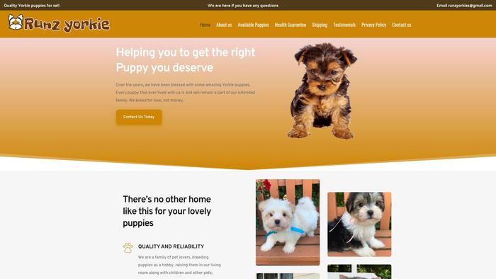 Runzyorkiepuppies.com - Yorkshire Terrier Puppy Scam Review