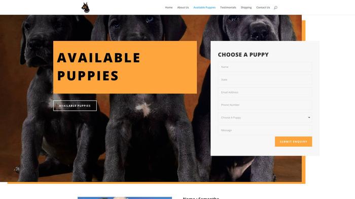 Russelldobermanpuppies.com - Doberman Pinscher Puppy Scam Review