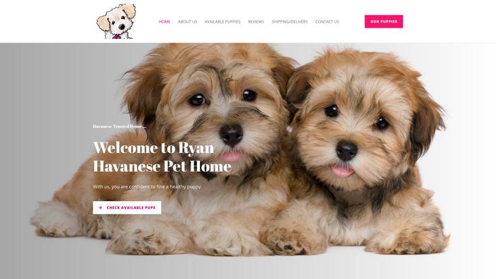 Ryanhavanesepethome.com - Havanese Puppy Scam Review