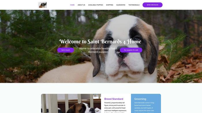 Saintbernards4homes.com - Saint Bernard Puppy Scam Review