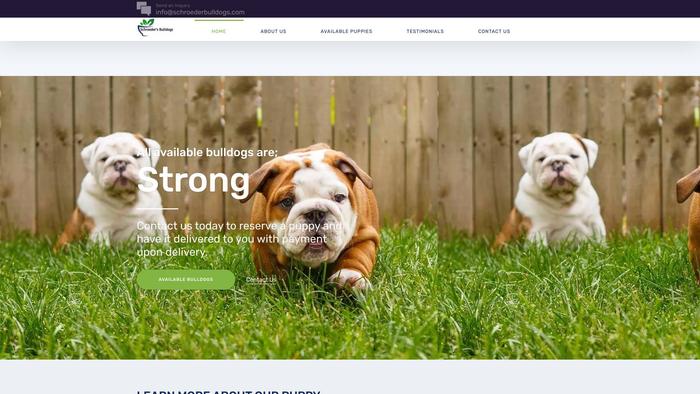 Schroederbulldogs.com - English Bulldog Puppy Scam Review