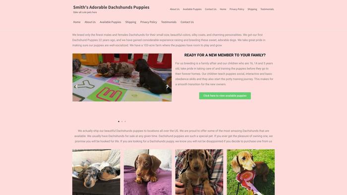 Sdachshundspuppies.com - Dachshund Puppy Scam Review