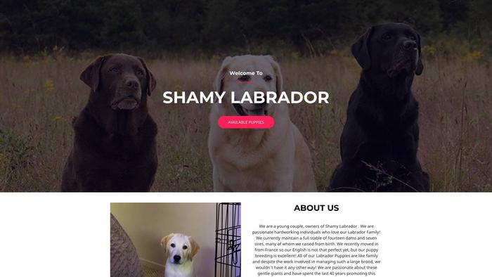 Shamylabrador.com - Labrador Puppy Scam Review