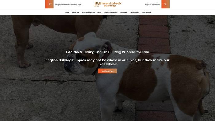 Sharonlabeckbulldogs.com - Bulldog Puppy Scam Review