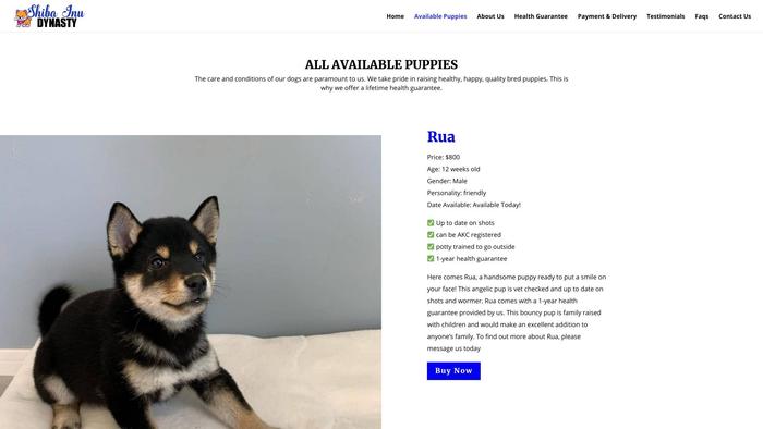 Shibainudynasty.com - Shibhainu Puppy Scam Review