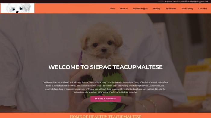 Sieracteacupmaltese.com - Maltese Puppy Scam Review