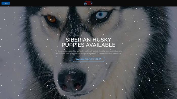 Sihuskypups.com - Husky Puppy Scam Review