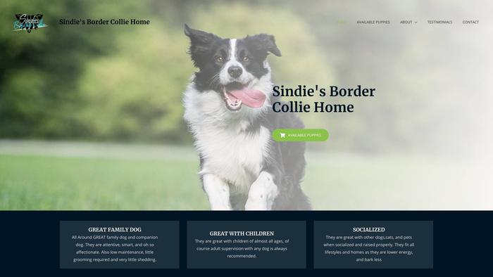 Sindiesbordercolliehome.com - Bordercollie Puppy Scam Review