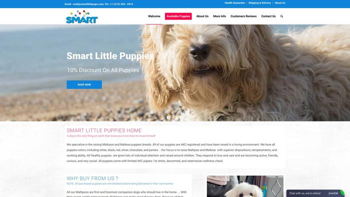 Smartlittlepups.com - Maltipoo Puppy Scam Review