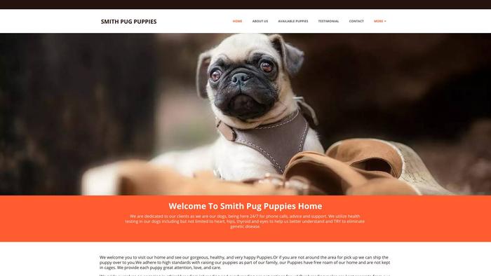 Smithpugpuppies.com - Pug Puppy Scam Review