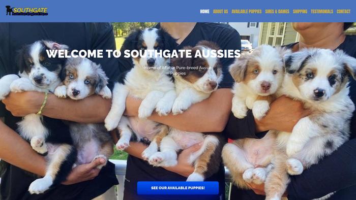 Southgateaussies.com - Australian Shepherd Puppy Scam Review