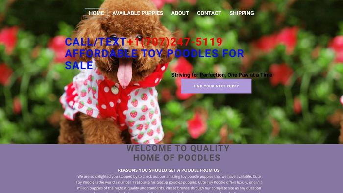 Specialpuppshome.com - French Bulldog Puppy Scam Review