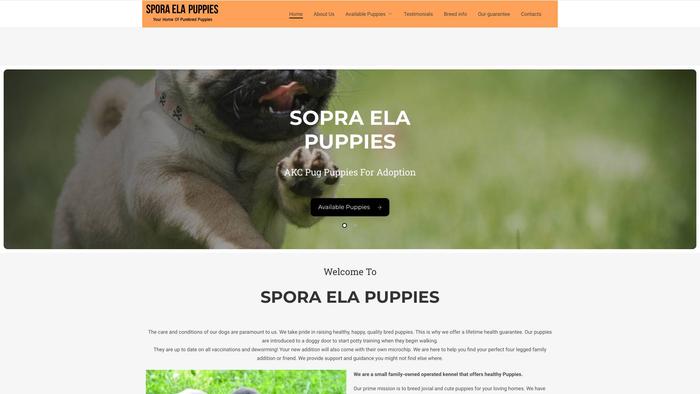 Sporaelapuppies.com - Pug Puppy Scam Review