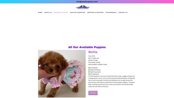 Spotpuppies.com - Poodle Puppy Scam Review