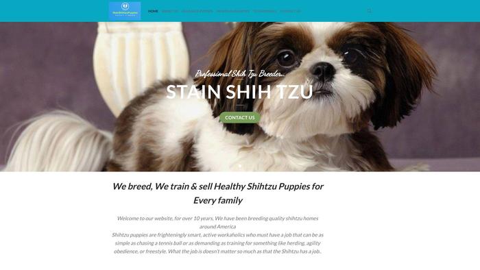 Stainshihtzupuppies.com - Shihtzu Puppy Scam Review