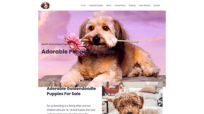 Standardtoygoldendoodlecoats.com - Golden Doodle Puppy Scam Review