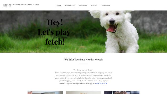 Starlight-poodles.com - Poodle Puppy Scam Review