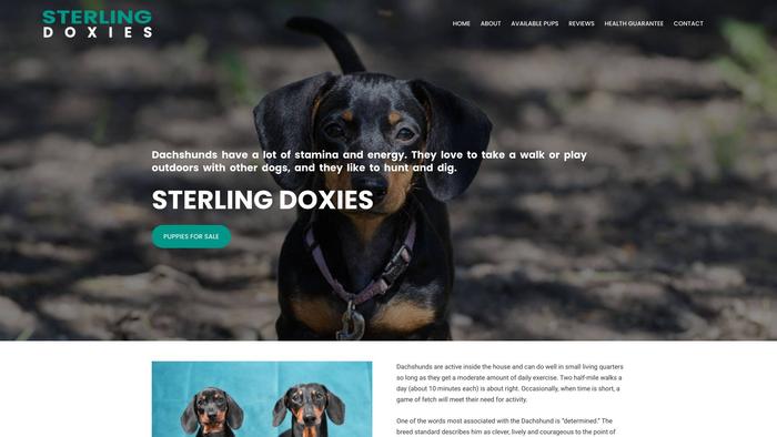 Sterlingdoxies.com - Dachshund Puppy Scam Review